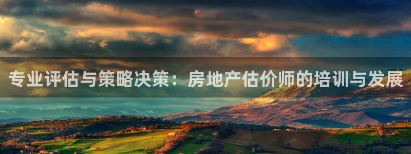 新宝5怎么代理：专业评估与策略决策：房地产估价师的培训与发展