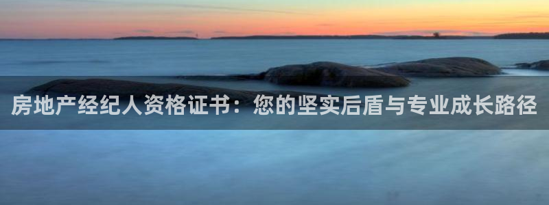 新宝5平台登录注册：房地产经纪人资格证书：您的坚实后盾与专业