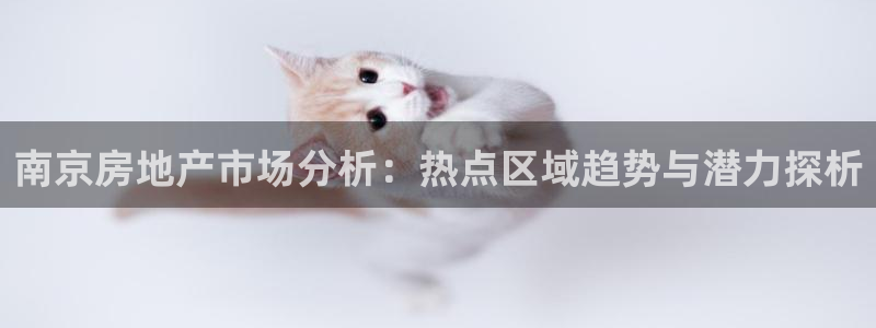 新宝5下载：南京房地产市场分析：热点区域趋势与潜力探析