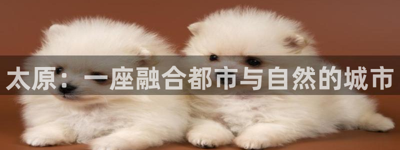 有人知道新宝5么