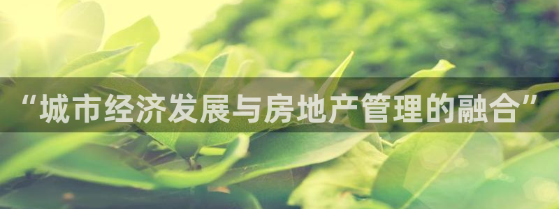 新宝5谠631257：“城市经济发展与房地产管理的融合”