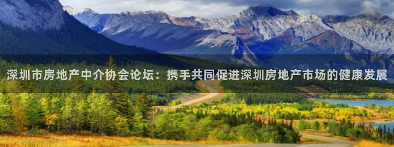 新宝5网站：深圳市房地产中介协会论坛：携手共同促进深圳房地产