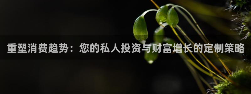 新宝5的网址：重塑消费趋势：您的私人投资与财富增长的定制策略