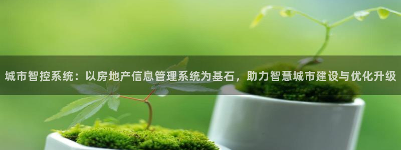 皇冠新宝5：城市智控系统：以房地产信息管理系统为基石，助力智
