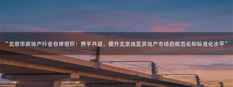 新宝5电脑登录网址：“北京市房地产行业自律组织：携手共进，提