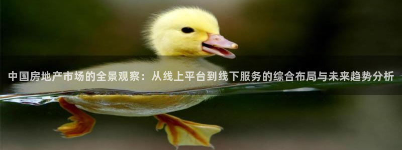 新宝5上来77542：中国房地产市场的全景观察：从线上平台到