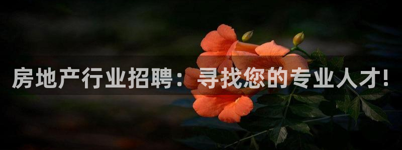 新宝5五：房地产行业招聘：寻找您的专业人才!