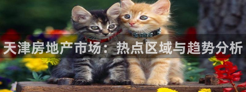 新宝5平台注册公司：天津房地产市场：热点区域与趋势分析
