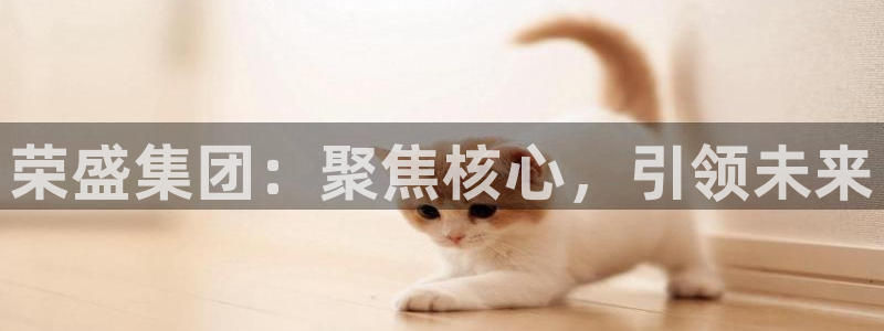 新宝5可靠吗：荣盛集团：聚焦核心，引领未来