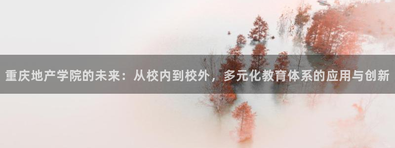 新宝5官网平台：重庆地产学院的未来：从校内到校外，多元化教育