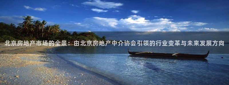 新宝5苹果手机下载：北京房地产市场的全景：由北京房地产中介协
