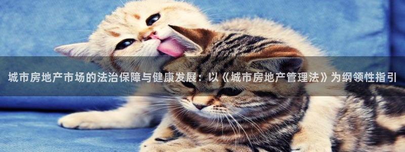 新宝5娱乐然：城市房地产市场的法治保障与健康发展：以《城市房