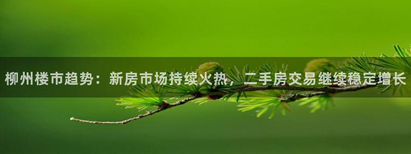 新宝5招商：柳州楼市趋势：新房市场持续火热，二手房交易继续稳