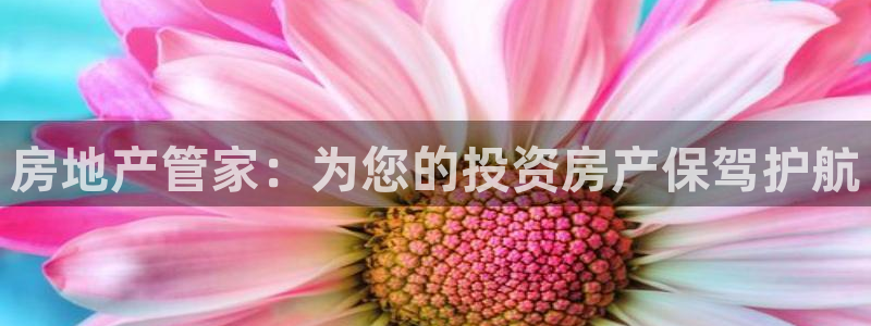 5新宝：房地产管家：为您的投资房产保驾护航