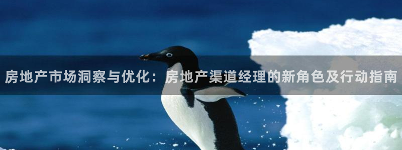 新宝5为啥开：房地产市场洞察与优化：房地产渠道经理的新角色及