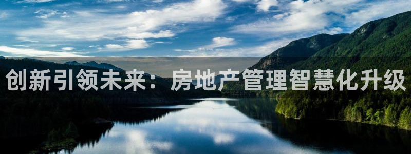 新宝5浗维33 300：创新引领未来：房地产管理智慧化升级