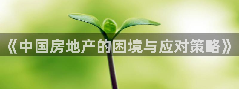 新宝5上来77542：《中国房地产的困境与应对策略》