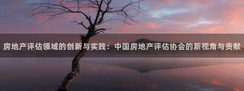 新宝5褚32OO59：房地产评估领域的创新与实践：中国房地产