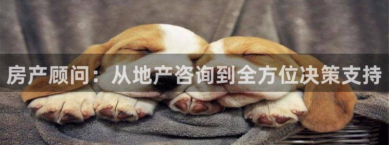新宝5娱乐：房产顾问：从地产咨询到全方位决策支持