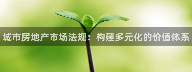 新宝5找找74OOO5：城市房地产市场法规：构建多元化的价值