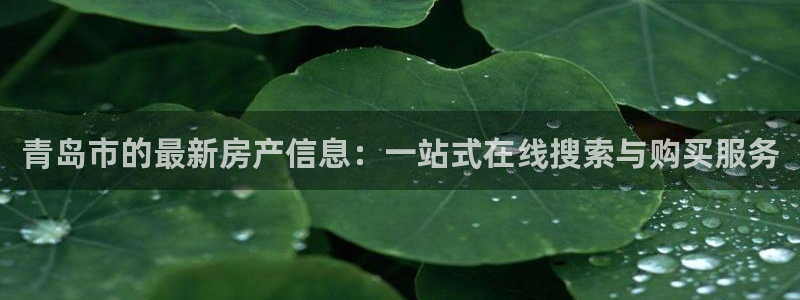 新宝5登录霸：青岛市的最新房产信息：一站式在线搜索与购买服务