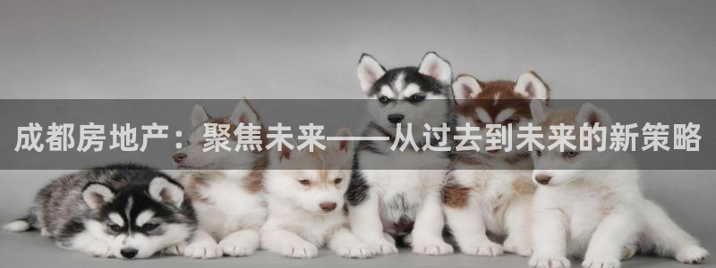 新宝5娱乐经：成都房地产：聚焦未来——从过去到未来的新策略