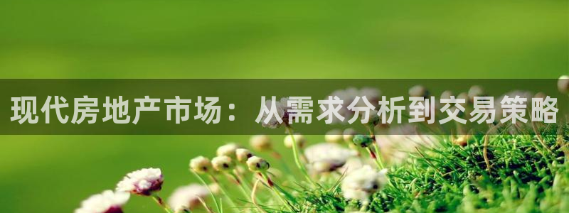 新宝5平台咋样：现代房地产市场：从需求分析到交易策略