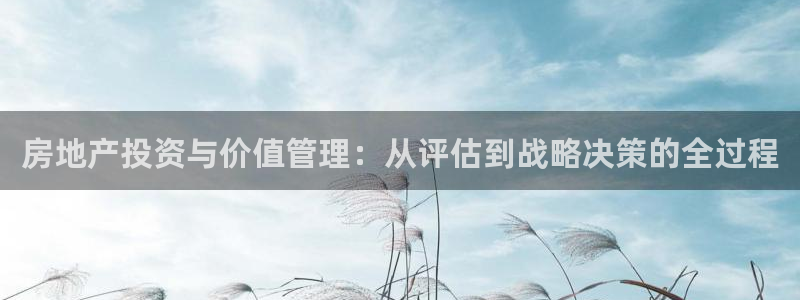 新宝5策略：房地产投资与价值管理：从评估到战略决策的全过程