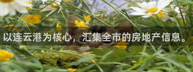 新宝5账号注册：以连云港为核心，汇集全市的房地产信息。