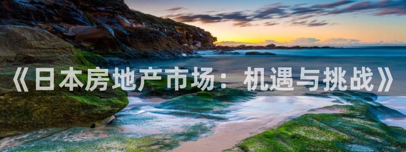 新宝5寻33 300球：《日本房地产市场：机遇与挑战》