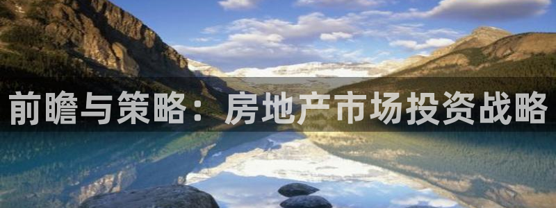 新宝5是什么样子的：前瞻与策略：房地产市场投资战略