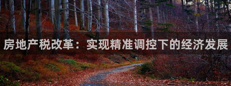 新宝5登录地址：房地产税改革：实现精准调控下的经济发展