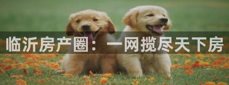 新宝股东王听2 5 5：临沂房产圈：一网揽尽天下房