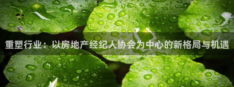 新宝5平台霸：重塑行业：以房地产经纪人协会为中心的新格局与机