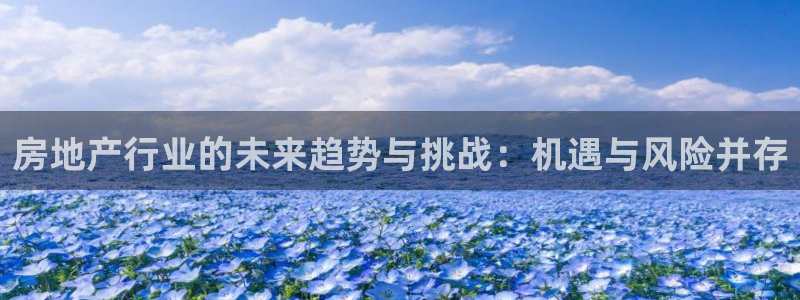 新宝5 测速：房地产行业的未来趋势与挑战：机遇与风险并存
