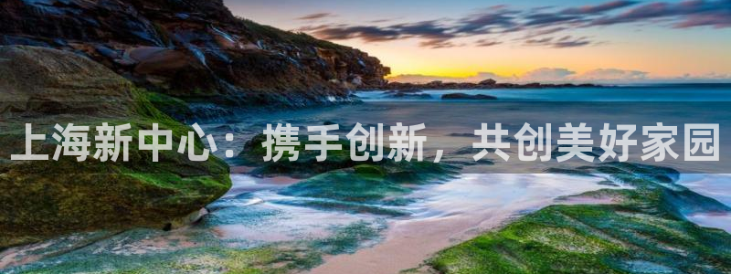 新宝5代理：上海新中心：携手创新，共创美好家园