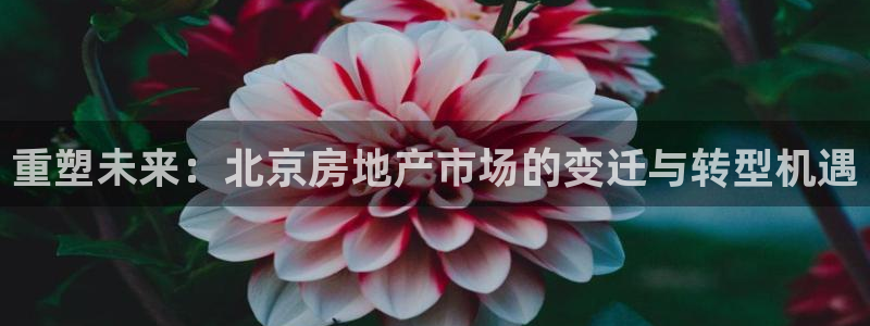 新宝5系列：重塑未来：北京房地产市场的变迁与转型机遇