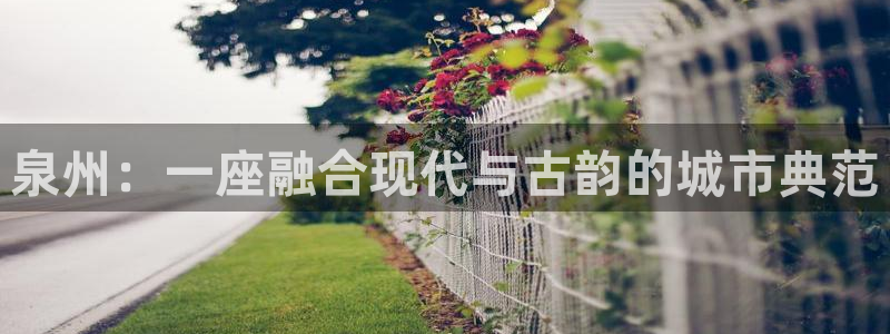 新宝5什么时候上市：泉州：一座融合现代与古韵的城市典范