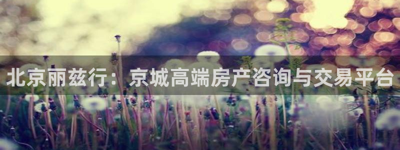 新宝5手机登录：北京丽兹行：京城高端房产咨询与交易平台