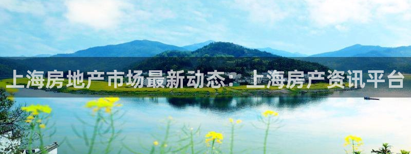 新宝gg5：上海房地产市场最新动态：上海房产资讯平台