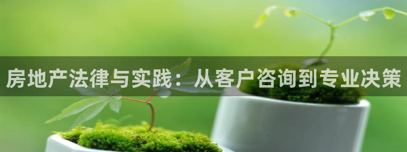 新宝5寂创33300散：房地产法律与实践：从客户咨询到专业决