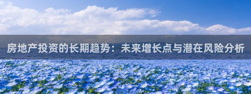 新5宝：房地产投资的长期趋势：未来增长点与潜在风险分析