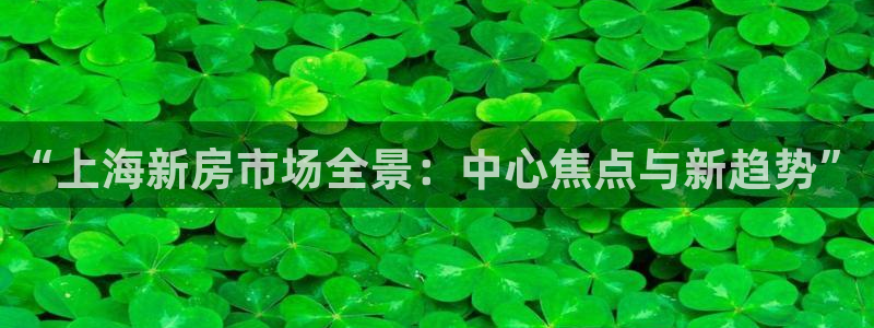 新宝5官方：“上海新房市场全景：中心焦点与新趋势”