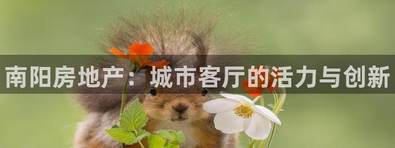 老新宝5授权登录：南阳房地产：城市客厅的活力与创新