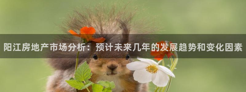 新宝5日740005蔻：阳江房地产市场分析：预计未来几年的发