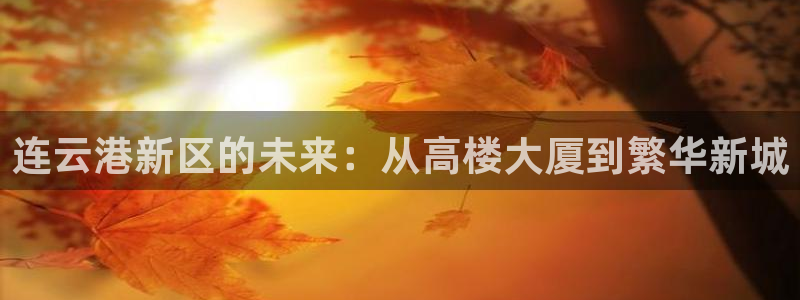 新宝5台卡：连云港新区的未来：从高楼大厦到繁华新城