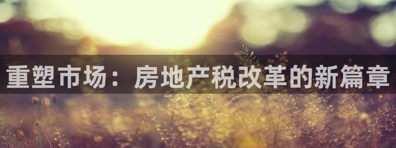 i新宝5：重塑市场：房地产税改革的新篇章