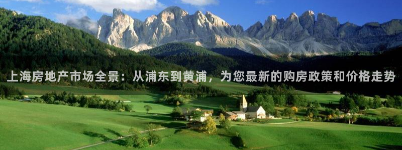 新宝5得74OOO5：上海房地产市场全景：从浦东到黄浦，为您