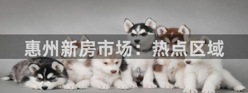 新宝5 888：惠州新房市场：热点区域