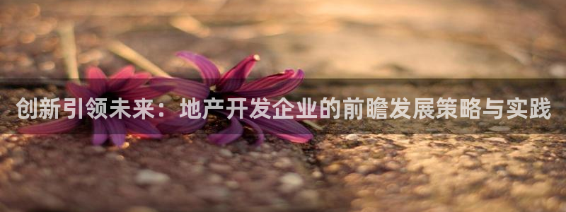 新宝5娱乐主管：创新引领未来：地产开发企业的前瞻发展策略与实